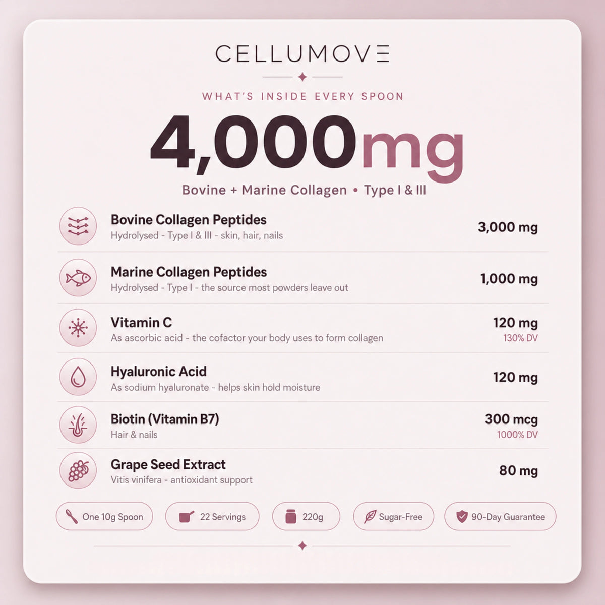 Multi Collagen Superblend — Chocolate | Firmer Skin, Fuller Hair, Stronger Nails